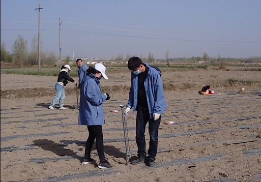 “三抓三促”行動進(jìn)行時 | 上下一心謀營銷　 全力以赴促業(yè)績——敦煌種業(yè)種子營銷分公司落實(shí)“三抓三促行動”紀(jì)實(shí)