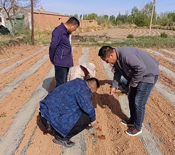 “三抓三促”進(jìn)行時 | 凝心聚力謀發(fā)展 “三抓三促”見實(shí)效 ——敦煌種業(yè)玉米種子分公司開展“三抓三促”行動紀(jì)實(shí)